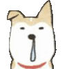 Dog Cry dogcry Discord Emoji