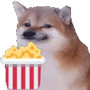 Shibcorn
