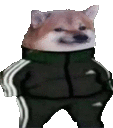 DogeTriPoloski Discord Emoji