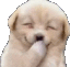 Dog Hehe Discord Emoji