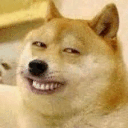 Dogesmirk dogesmirk Discord Emoji