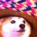 Dogero Discord Emoji