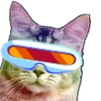 cat_bop