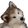 o_what Discord emoji