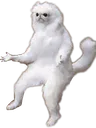 Wat