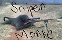SniperMonke