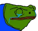 feelsbadfrogge