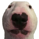 walteristaringatyou Discord emoji