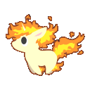 ponyta