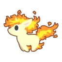 ponyta