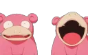 SlowBro