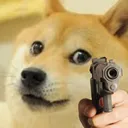 APRP_dogegun