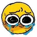 AA_CRI