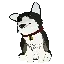 Zwei