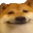 xOk_Doge Discord Emoji