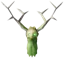 TrophyGreydwarfShaman