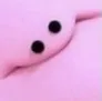 poyo