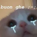 sa_meobuon