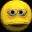 bert
