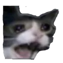 SadCat2