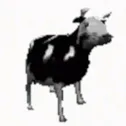 moss_coww