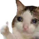 SadCatLike