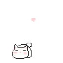 Cat_1