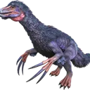 chiken