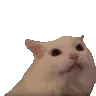 myAAAH