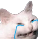 kitty_cry