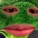 ashirdone ashirdone