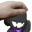 ani_pat
