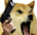 Gun