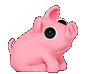 pigscout