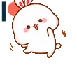 rhakki