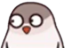 birdwhat