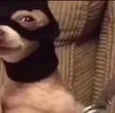 xrobber
