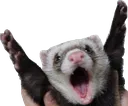 YaY
