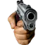 gun