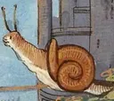 snailpace