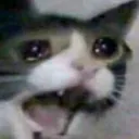 screm