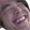 xD
