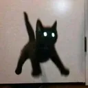 Shockcat shockcat Discord Emoji