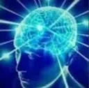 bigbrain