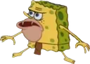 cavesponge