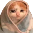 catcomfysad