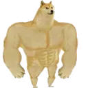 doge_stronk