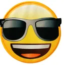 cxxl2006emoj