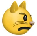 FD_catangry Discord Emoji