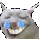 weshcrying